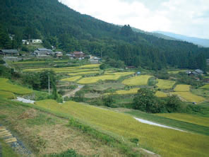 gifu-pref2005-1