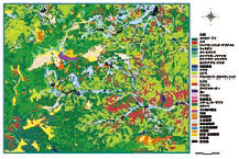 氷ノ山地域の植生図