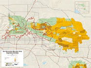 San Bernardino National Forestの枯木のマップ。火災の延焼速度に非常に重要な要素となる。茶色系のエリアは、枯木の割合が生木よりも高い地域を示す。