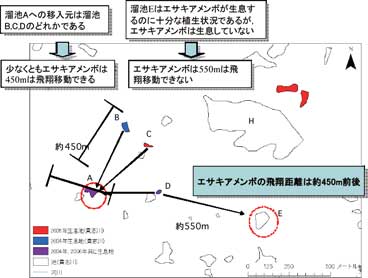 wakayamausyse-7