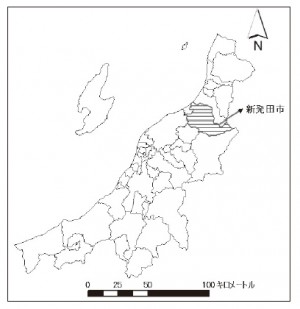 shibatamih-1