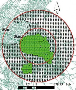 shibatamih-4