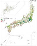 図4：平成17年65歳以上人口の割合