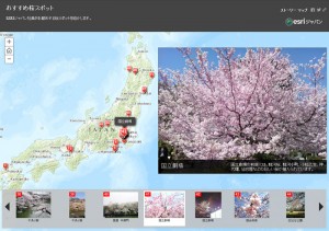 20140317_sakura_map