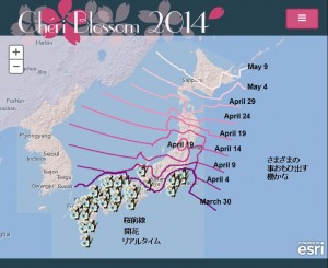 桜前線マップ