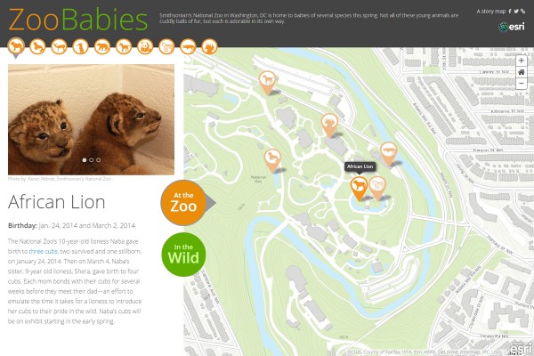 スミソニアン国立動物園の赤ちゃん Esriジャパン