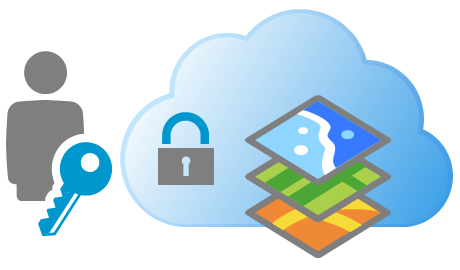 details-arcgisonline