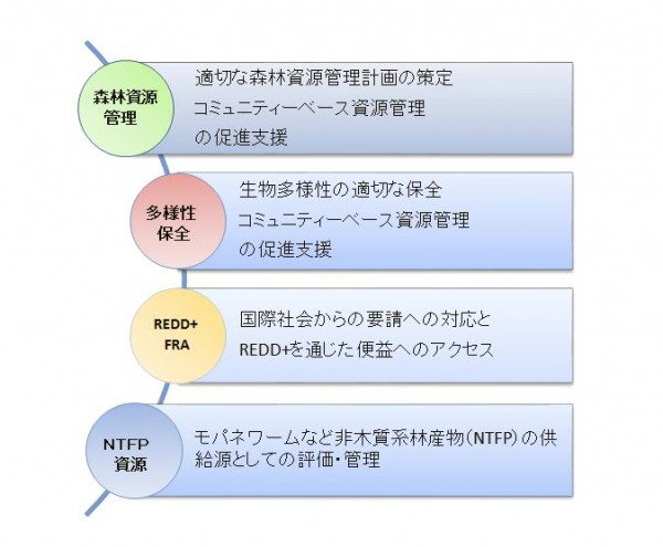 分野別の課題・要求事項