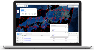 ArcGIS Image Server