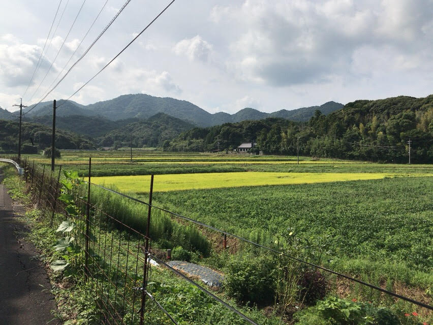 油谷地区の田園風景