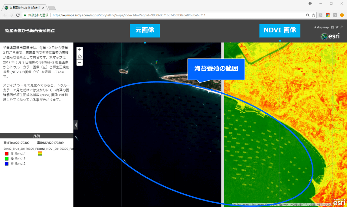 衛星画像を利用した海苔養殖場の判読