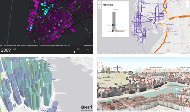 details-mapping