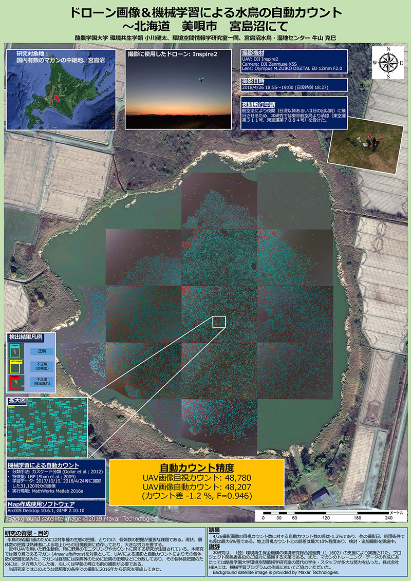 ドローン画像＆機械学習による水鳥の自動カウント～北海道 美唄市 宮島沼にて
