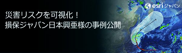 災害リスクを可視化！損保ジャパン日本興亜様の事例公開