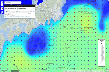 ArcGIS Image Server