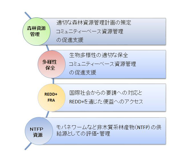 分野別の課題・要求事項