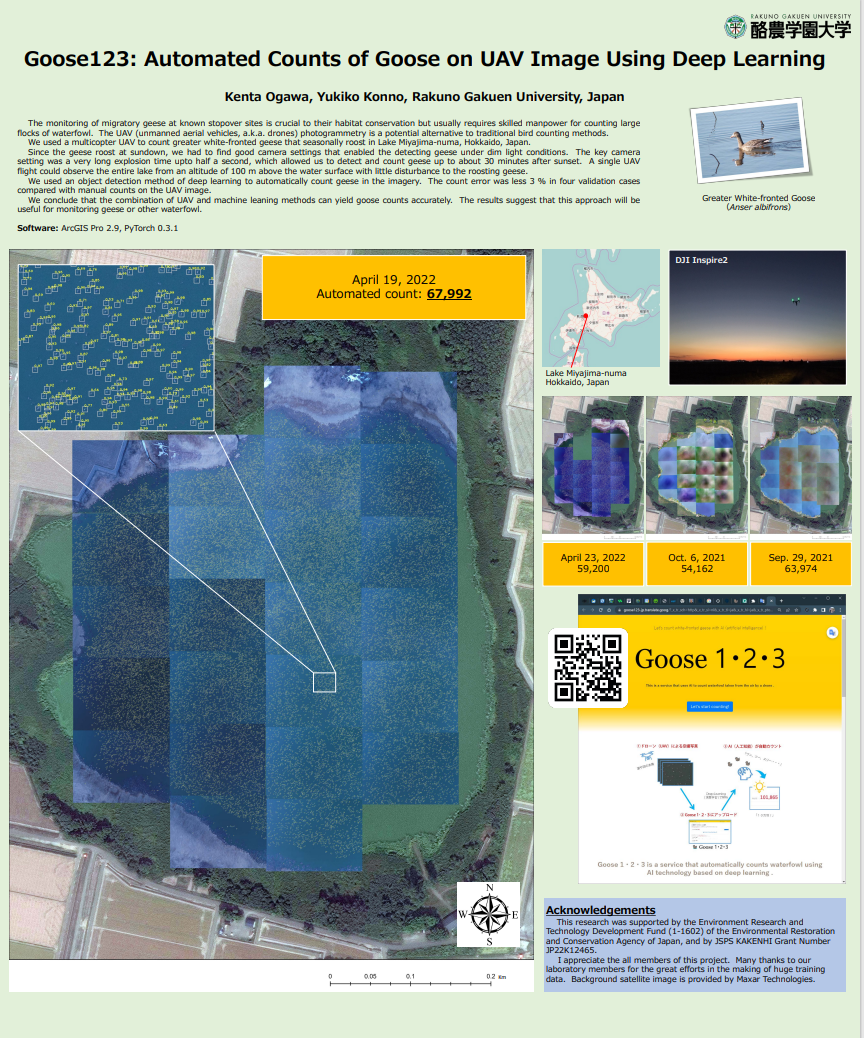 Goose123: Automated Counts of Goose on UAV Image Using Deep Learning
(グース123: ディープラーニングを使用したUAV画像における水鳥(マガン)の自動カウントマップ)