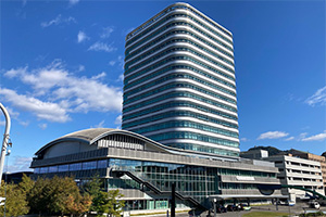 視覚で防災を強化する 3D ハザードマップ