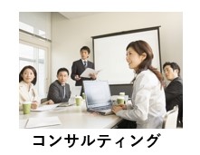 GIS プロジェクトをご支援