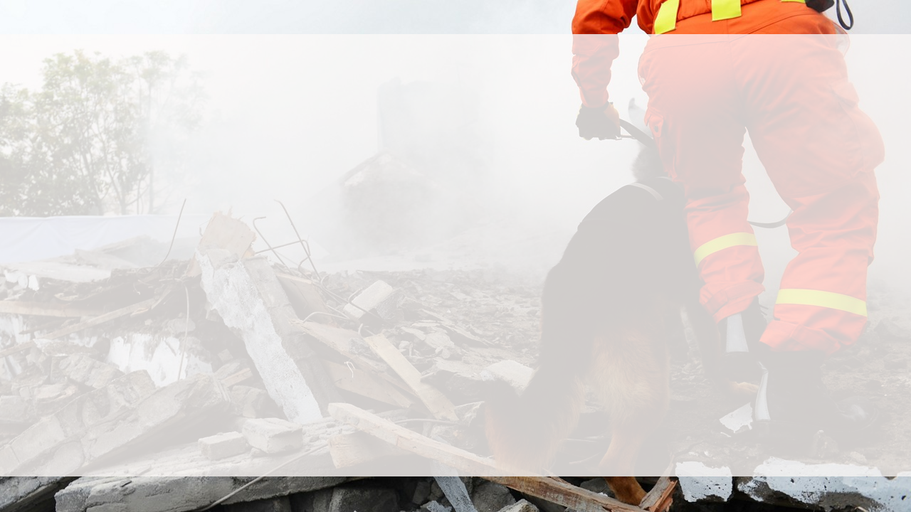 リスクマネジメント