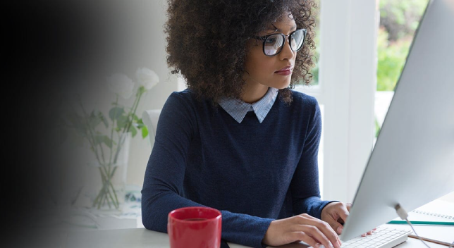 ArcGIS Pro を使っているイメージ