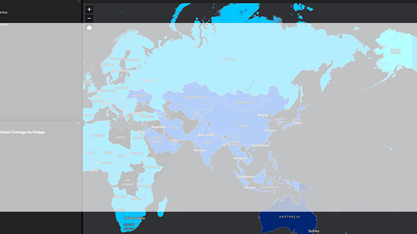 グローバル戦略