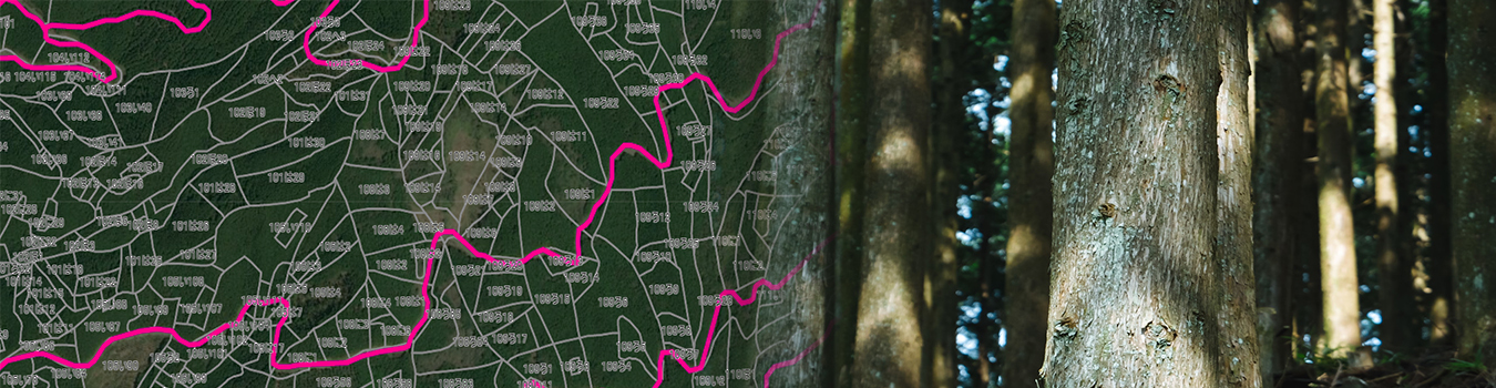 森林 GIS ソリューション