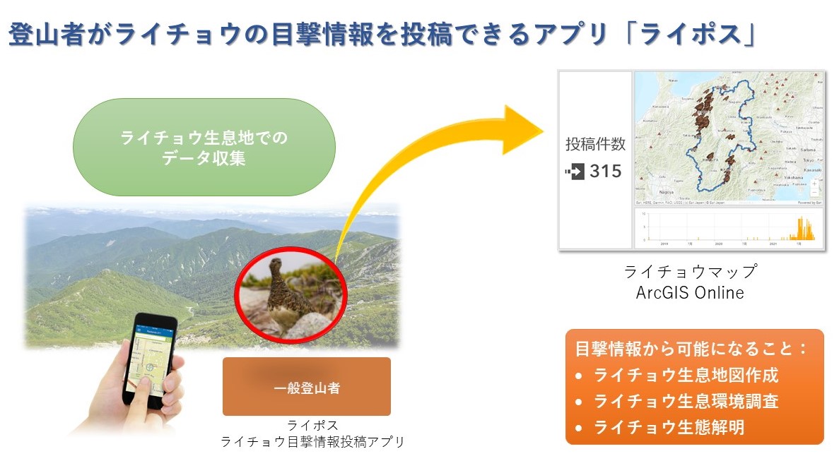 ライポスシステム概要図