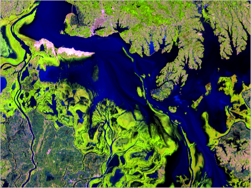 縮小する湖の測定を目的とした土地被覆の分類のイメージ