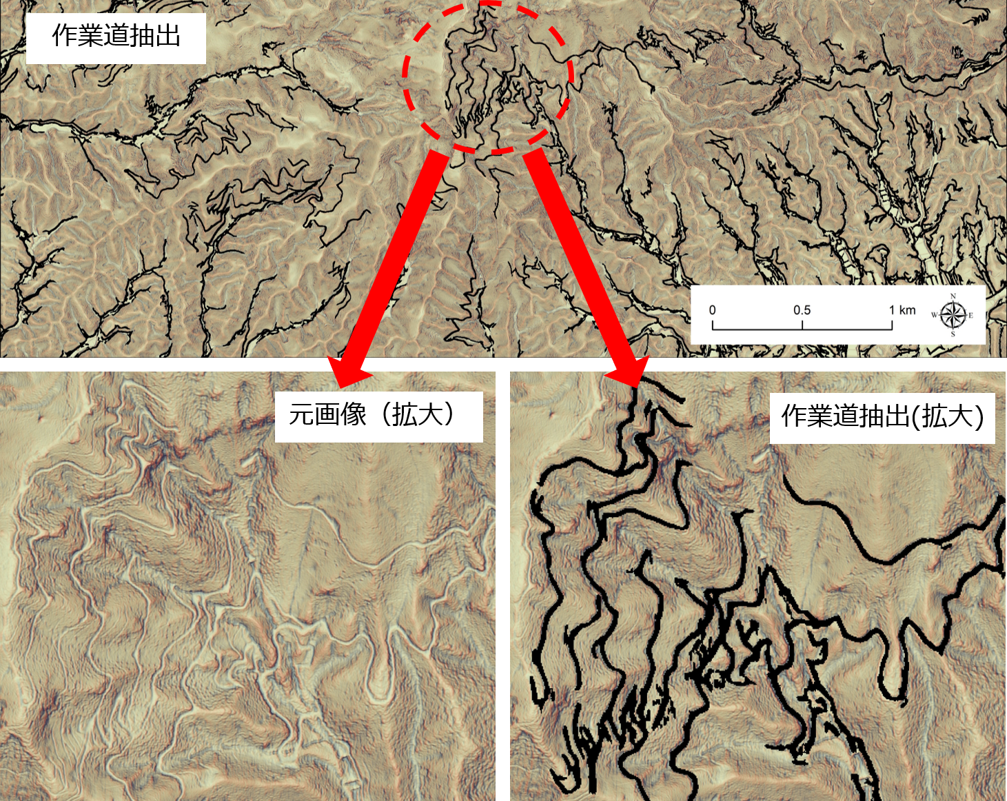 林道・作業道の抽出例