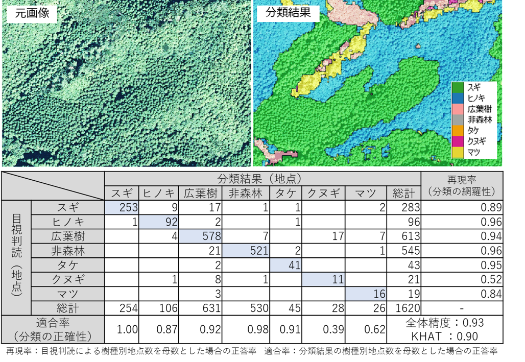 表 1：樹種区分例とエラーマトリックス