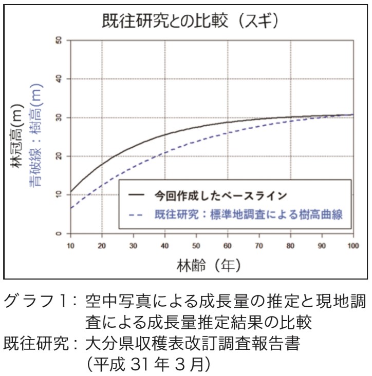 既往研究との比較
