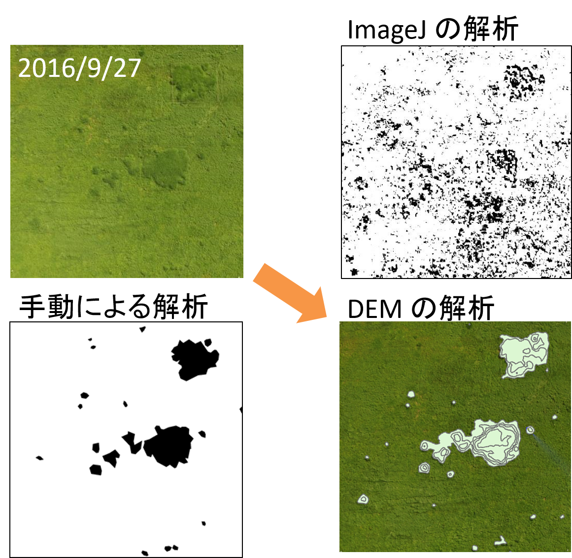 DSM による解析結果