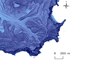 シン技術コンサル