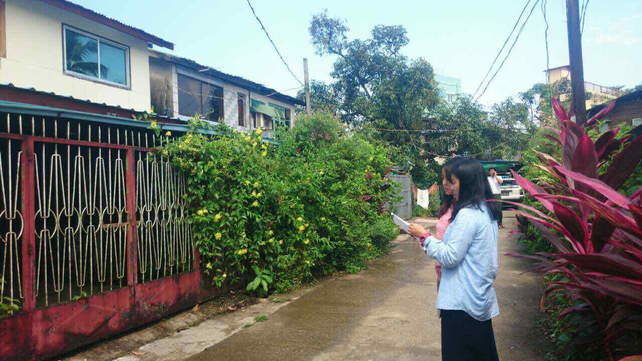 現地調査の様子