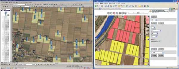 左: 編集／閲覧クライアント 右: Webクライアン卜