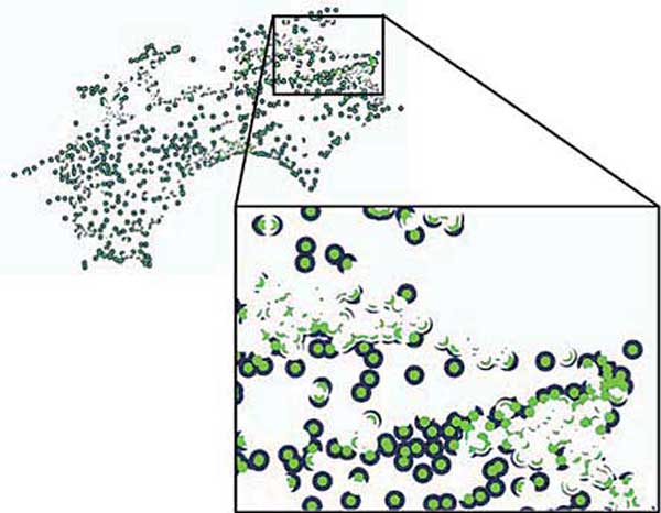 図：郵便局のみバッファ半径lkm圏内・2km圏内(四国)