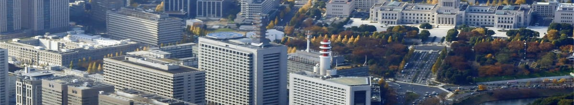 中央省庁 GIS ソリューション