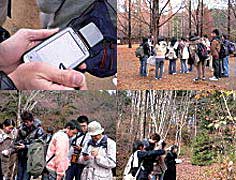 「六甲森林植物園」野外調査作業の様子