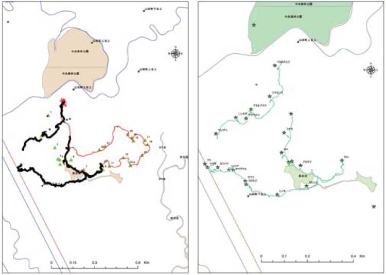 「六甲森林植物園」野外調査作業の様子