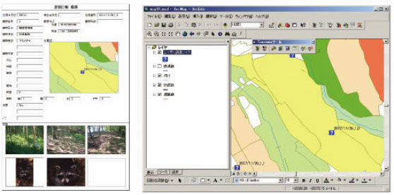 調査結果データと帳票
