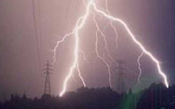 ArcGIS を用いた電力流通設備の落雷リスク評価