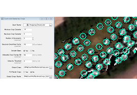 Crop Scienceのイメージ