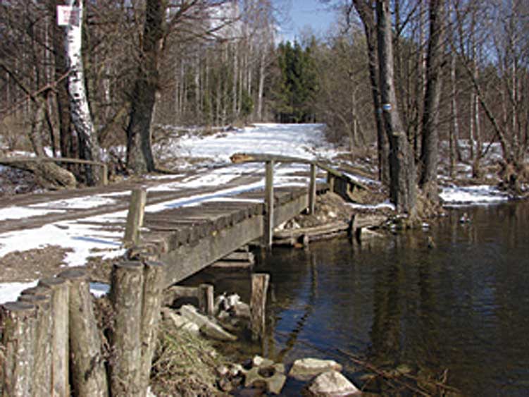小さな木造の橋を通るクルクリン湖沿いのラリーのセクション