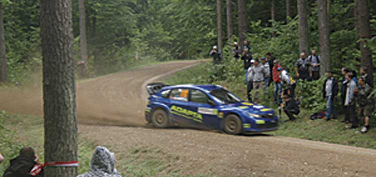 クルクリンの森林を疾走するラリーカー
