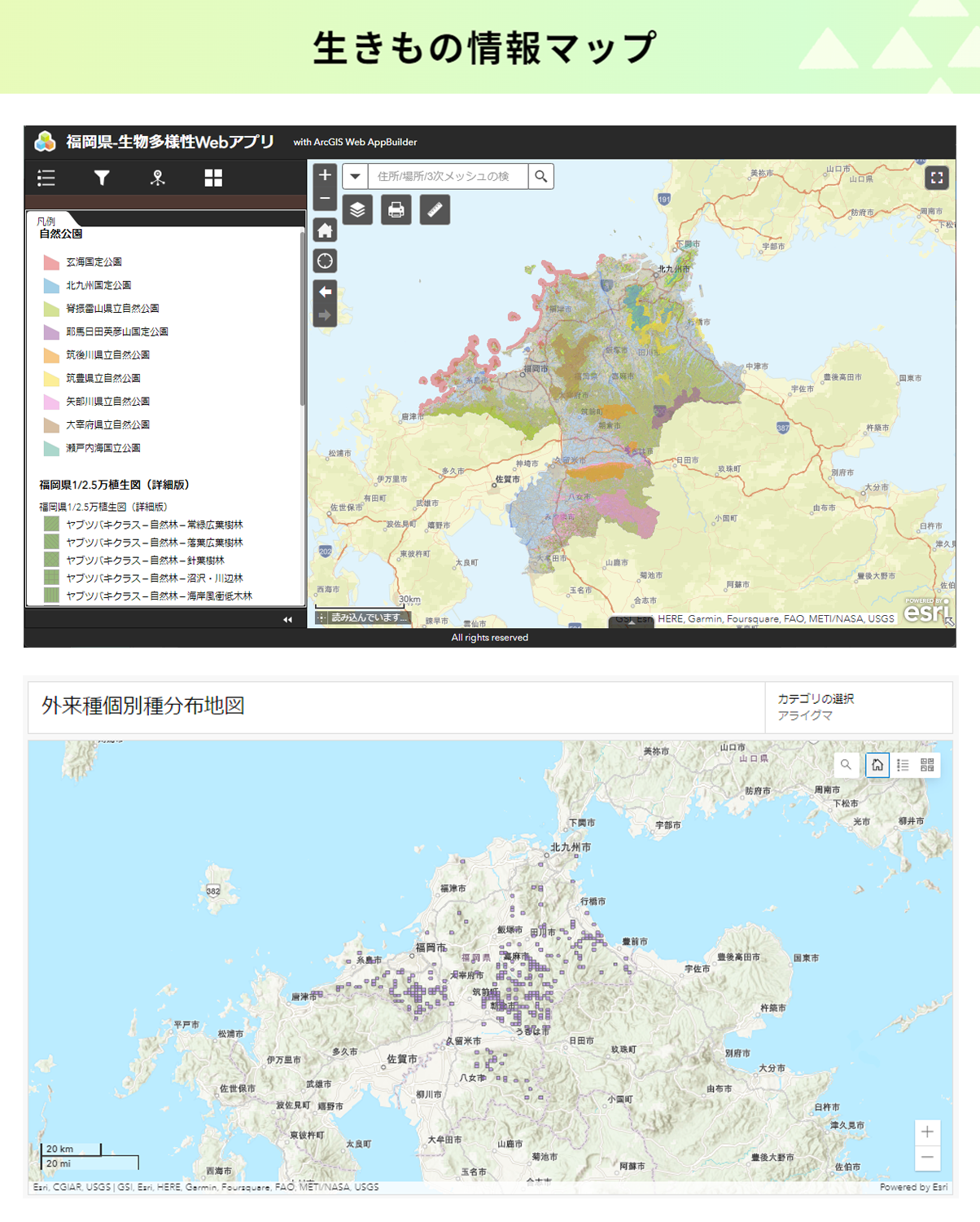 生きもの情報マップ（上）と
外来種コーナーの個別種の解説ページで
公開している分布3次メッシュ図（下）