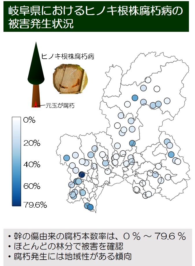 「岐阜県におけるヒノキ根株腐朽病の被害実態」