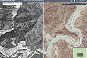 森林情報のリアルタイム共有と調査業務ツールに ArcGIS Online を活用