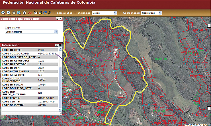 FNCのコーヒー生産サンプリングエリアの仲から1つの区画が選ばれているところ。表示されたデータには緯度経度および様々な固有のコードなどの情報が含まれています。