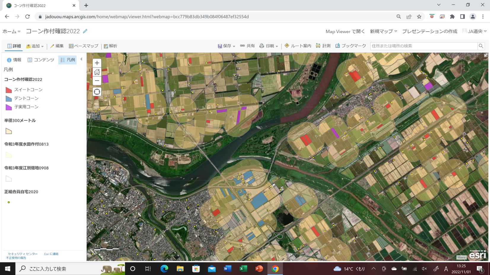 コーン作付け確認マップ